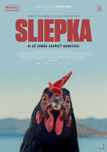 Sliepka